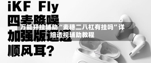 万能开挂辅助“麦穗二八杠有挂吗	”详细透视辅助教程-第2张图片