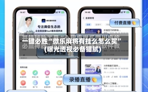 一键必胜“微乐麻将有挂么怎么买”(曝光透视必备猫腻)-第2张图片