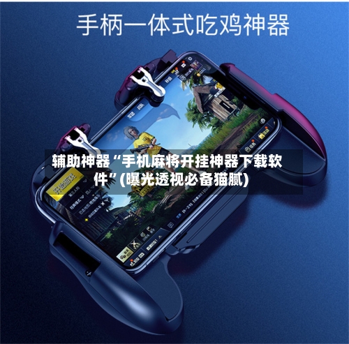 辅助神器“手机麻将开挂神器下载软件”(曝光透视必备猫腻)-第3张图片