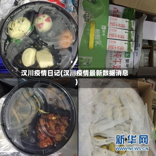 汉川疫情日记(汉川疫情最新数据消息)-第3张图片