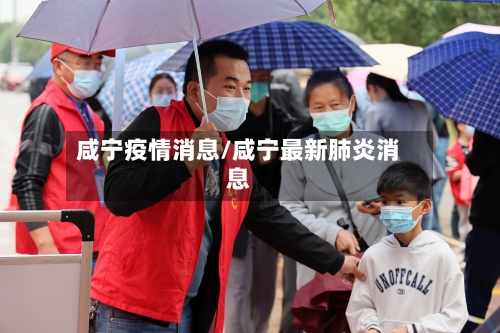 咸宁疫情消息/咸宁最新肺炎消息-第2张图片