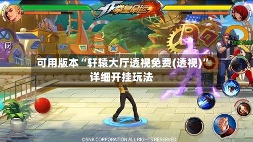 可用版本“轩辕大厅透视免费(透视)”详细开挂玩法-第3张图片