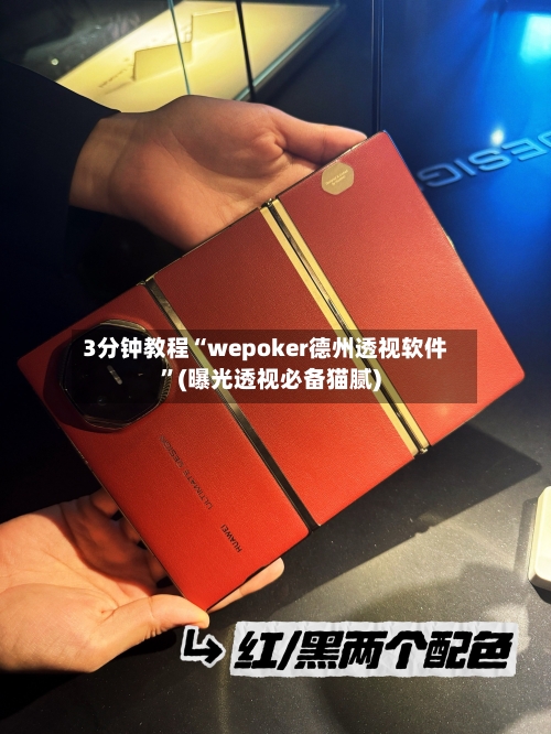 3分钟教程“wepoker德州透视软件”(曝光透视必备猫腻)-第2张图片