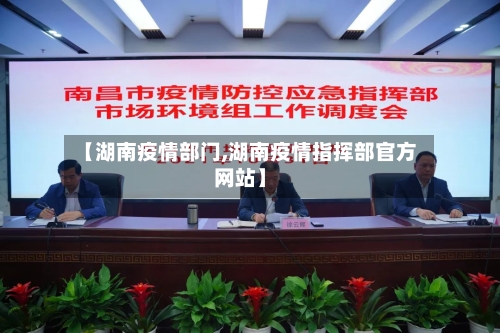 【湖南疫情部门,湖南疫情指挥部官方网站】-第1张图片