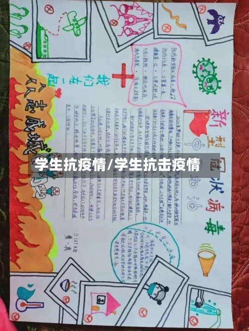 学生抗疫情/学生抗击疫情-第3张图片