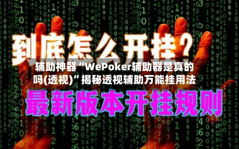 辅助神器“WePoker辅助器是真的吗(透视)”揭秘透视辅助万能挂用法-第3张图片