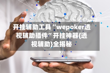 开挂辅助工具“wepoker透视辅助插件”开挂神器{透视辅助}全揭秘-第1张图片