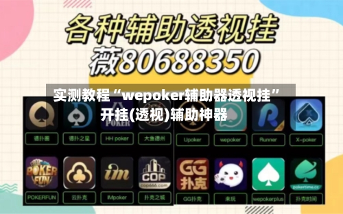 实测教程“wepoker辅助器透视挂	”开挂(透视)辅助神器-第1张图片