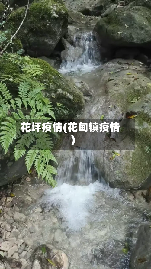 花坪疫情(花甸镇疫情)-第2张图片