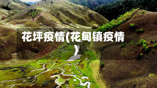 花坪疫情(花甸镇疫情)-第1张图片