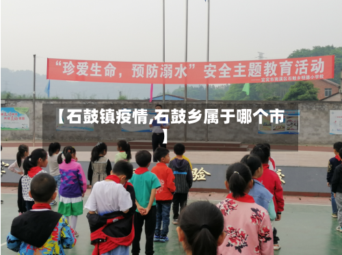 【石鼓镇疫情,石鼓乡属于哪个市】-第3张图片