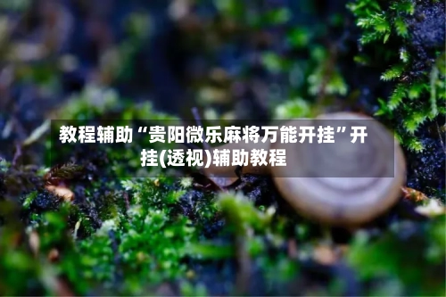 教程辅助“贵阳微乐麻将万能开挂”开挂(透视)辅助教程-第2张图片