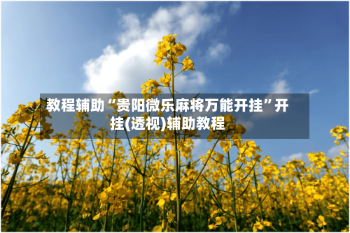 教程辅助“贵阳微乐麻将万能开挂	”开挂(透视)辅助教程-第1张图片