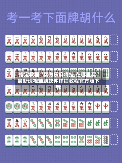 指定教程“买微乐麻将挂,在哪里买”最新透视辅助软件详细教程官方版下载-第3张图片