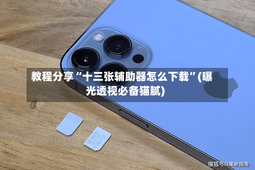 教程分享“十三张辅助器怎么下载”(曝光透视必备猫腻)-第3张图片