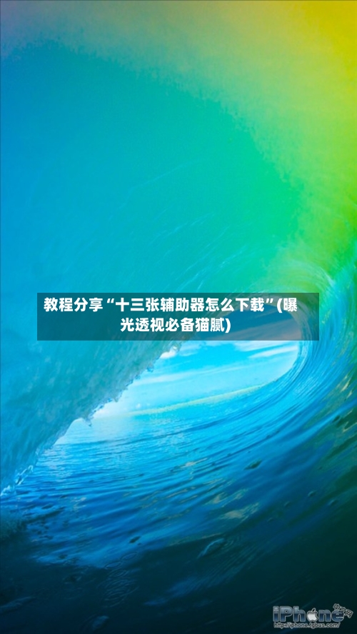 教程分享“十三张辅助器怎么下载	”(曝光透视必备猫腻)-第2张图片