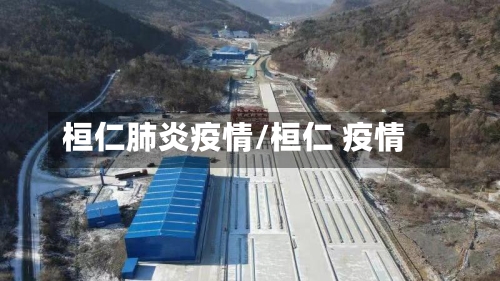 桓仁肺炎疫情/桓仁 疫情-第2张图片