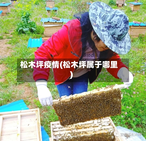 松木坪疫情(松木坪属于哪里)-第2张图片