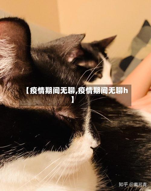 【疫情期间无聊,疫情期间无聊h】-第3张图片