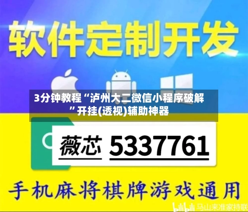 3分钟教程“泸州大二微信小程序破解”开挂(透视)辅助神器-第1张图片