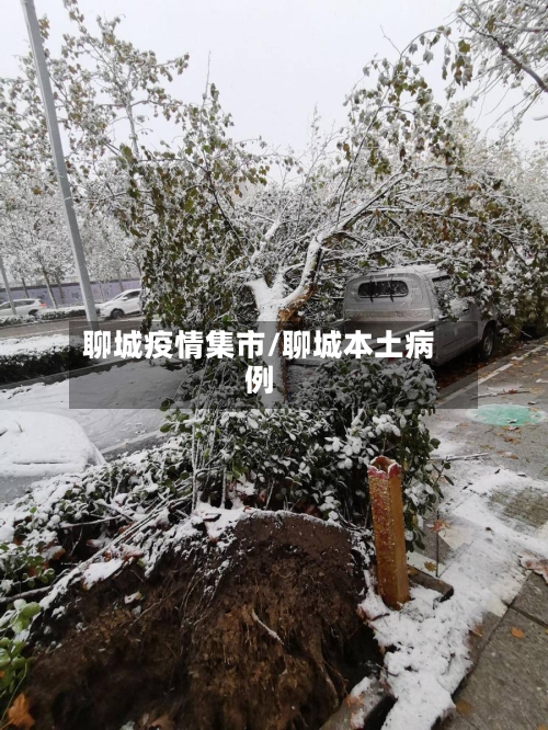 聊城疫情集市/聊城本土病例-第2张图片