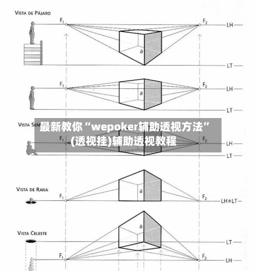最新教你“wepoker辅助透视方法”(透视挂)辅助透视教程-第1张图片