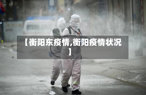 【衡阳东疫情,衡阳疫情状况】-第2张图片