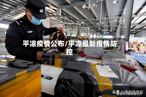 平凉疫情公布/平凉最新疫情防控-第2张图片