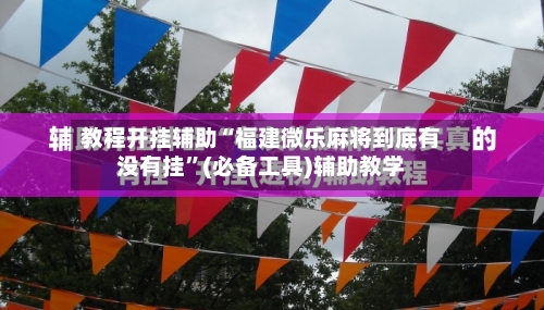 教程开挂辅助“福建微乐麻将到底有没有挂”(必备工具)辅助教学-第2张图片