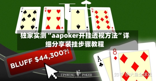 独家实测“aapoker开挂透视方法”详细分享装挂步骤教程-第2张图片