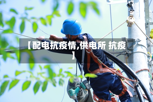【配电抗疫情,供电所 抗疫】-第2张图片