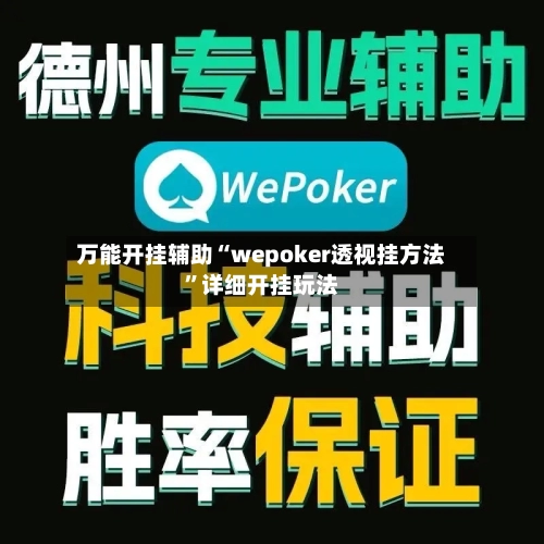 万能开挂辅助“wepoker透视挂方法”详细开挂玩法-第3张图片