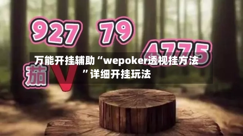 万能开挂辅助“wepoker透视挂方法”详细开挂玩法-第1张图片