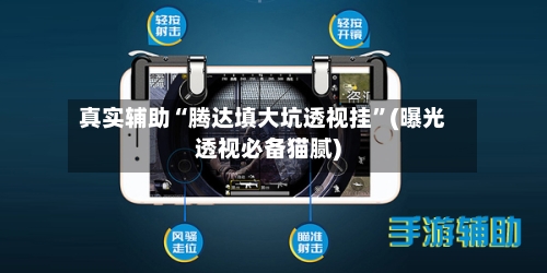 真实辅助“腾达填大坑透视挂”(曝光透视必备猫腻)-第1张图片