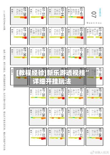 [教程经验]新乐游透视挂	”详细开挂玩法-第2张图片