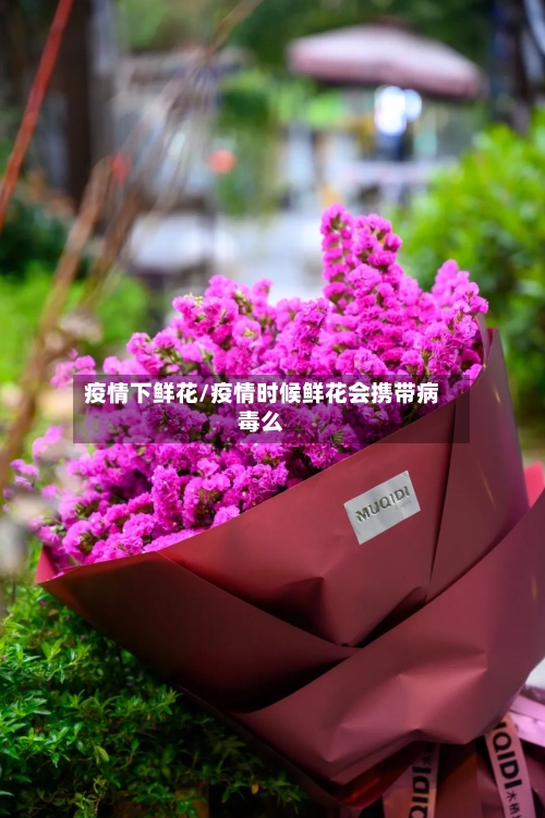 疫情下鲜花/疫情时候鲜花会携带病毒么-第1张图片