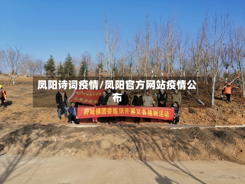 凤阳诗词疫情/凤阳官方网站疫情公布-第2张图片