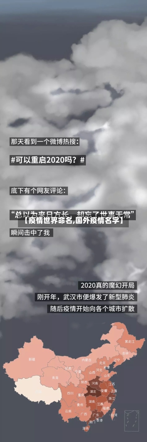 【疫情世界命名,国外疫情名字】-第3张图片