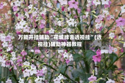 万能开挂辅助“花城牌舍透视挂	”(透视挂)辅助神器教程-第2张图片