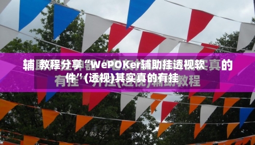 教程分享“WePOKer辅助挂透视软件	”(透视)其实真的有挂-第2张图片