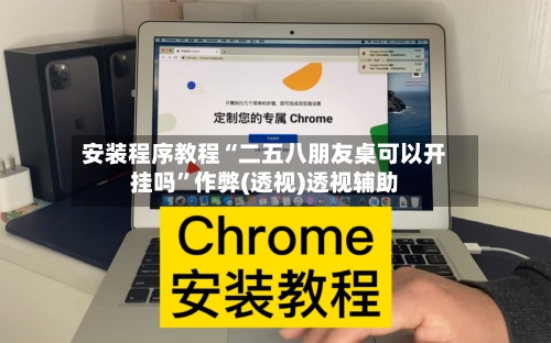 安装程序教程“二五八朋友桌可以开挂吗	”作弊(透视)透视辅助-第2张图片