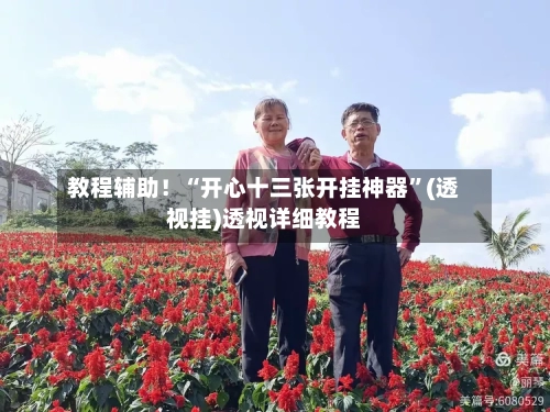 教程辅助！“开心十三张开挂神器	”(透视挂)透视详细教程-第2张图片