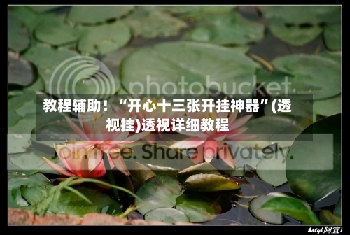 教程辅助！“开心十三张开挂神器”(透视挂)透视详细教程-第1张图片