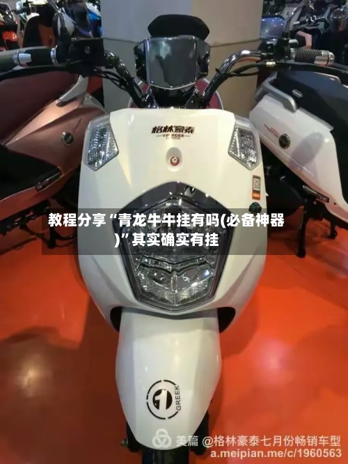 教程分享“青龙牛牛挂有吗(必备神器)”其实确实有挂-第2张图片