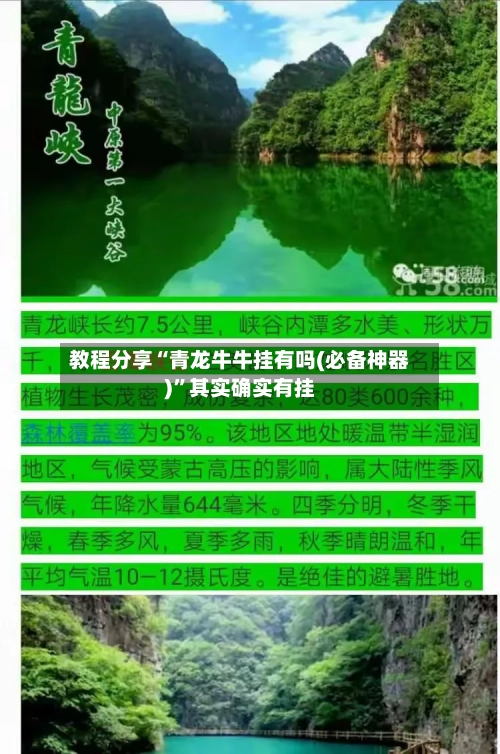 教程分享“青龙牛牛挂有吗(必备神器)	”其实确实有挂-第1张图片