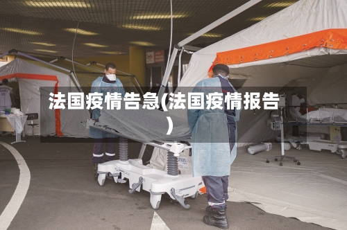 法国疫情告急(法国疫情报告)-第3张图片