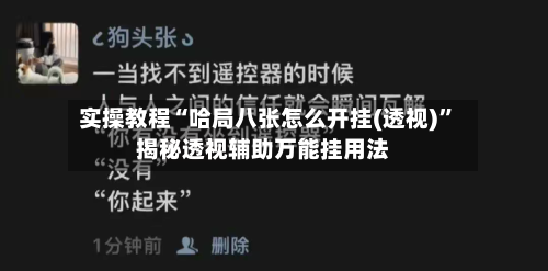实操教程“哈局八张怎么开挂(透视)”揭秘透视辅助万能挂用法-第2张图片