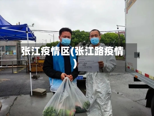 张江疫情区(张江路疫情)-第2张图片