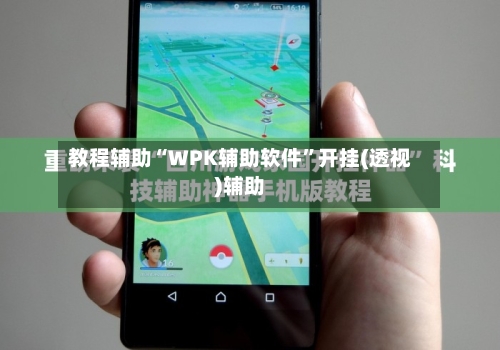 教程辅助“WPK辅助软件”开挂(透视)辅助-第1张图片