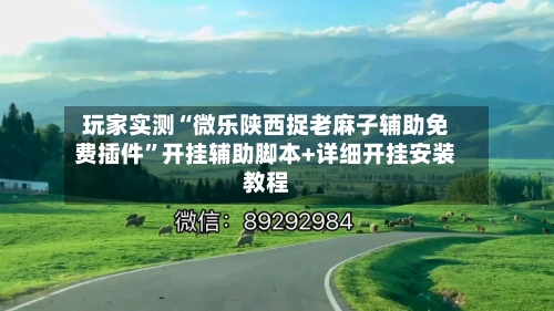 玩家实测“微乐陕西捉老麻子辅助免费插件”开挂辅助脚本+详细开挂安装教程-第2张图片